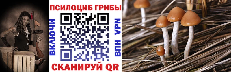 цены наркотик Коломна Псилоцибиновые грибы мухоморы
