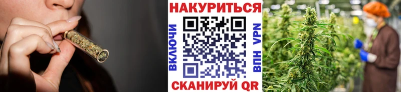 Бошки марихуана сатива  ссылка на мегу вход  Коломна 